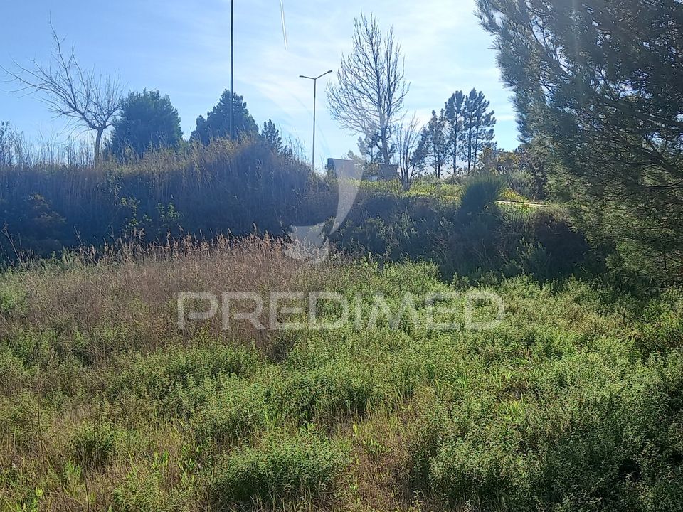 Terra a Constancia, Santarem - foto 3