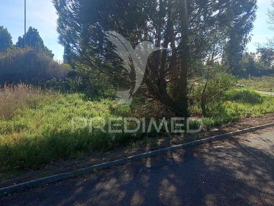 Terra a Constancia, Santarem - foto 4