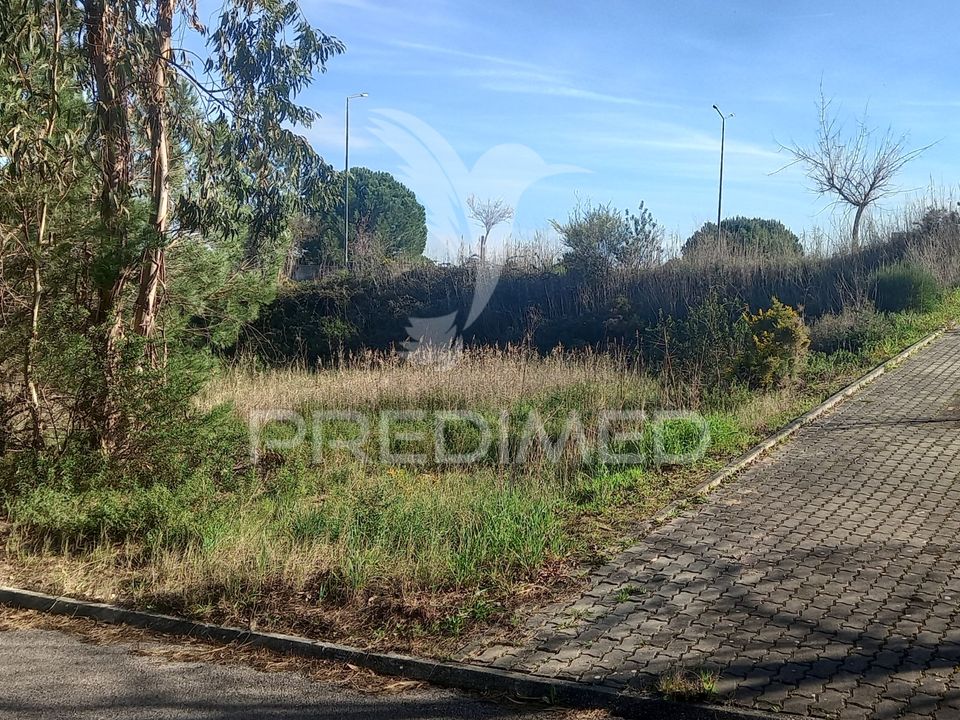 Terra a Constancia, Santarem - foto 5