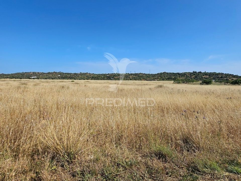 Helårsgrund i Silves, Faro - foto 3