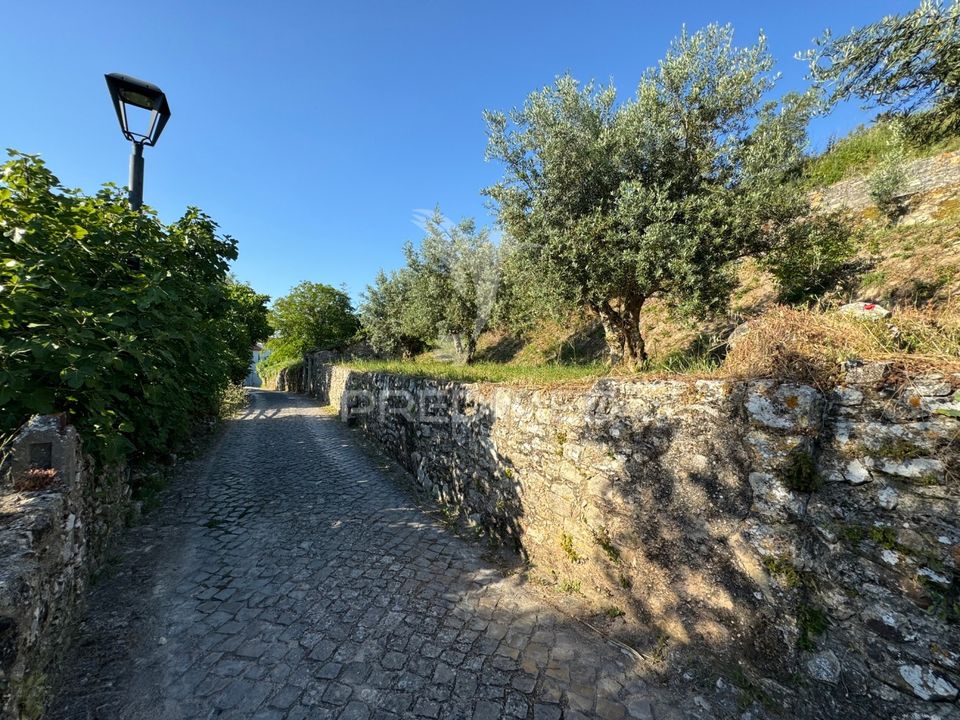 Helårsgrund i Ourem, Santarem - foto 3