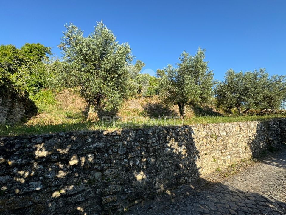 Helårsgrund i Ourem, Santarem - foto 4
