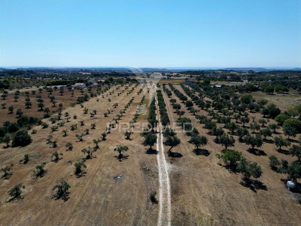 Masia a Santarem, Santarem - foto 3