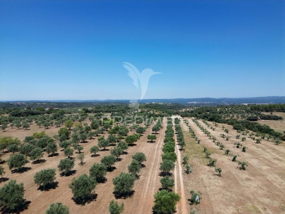 Masia a Santarem, Santarem - foto 4