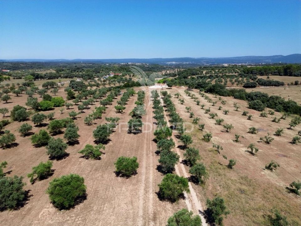 Masia a Santarem, Santarem - foto 5