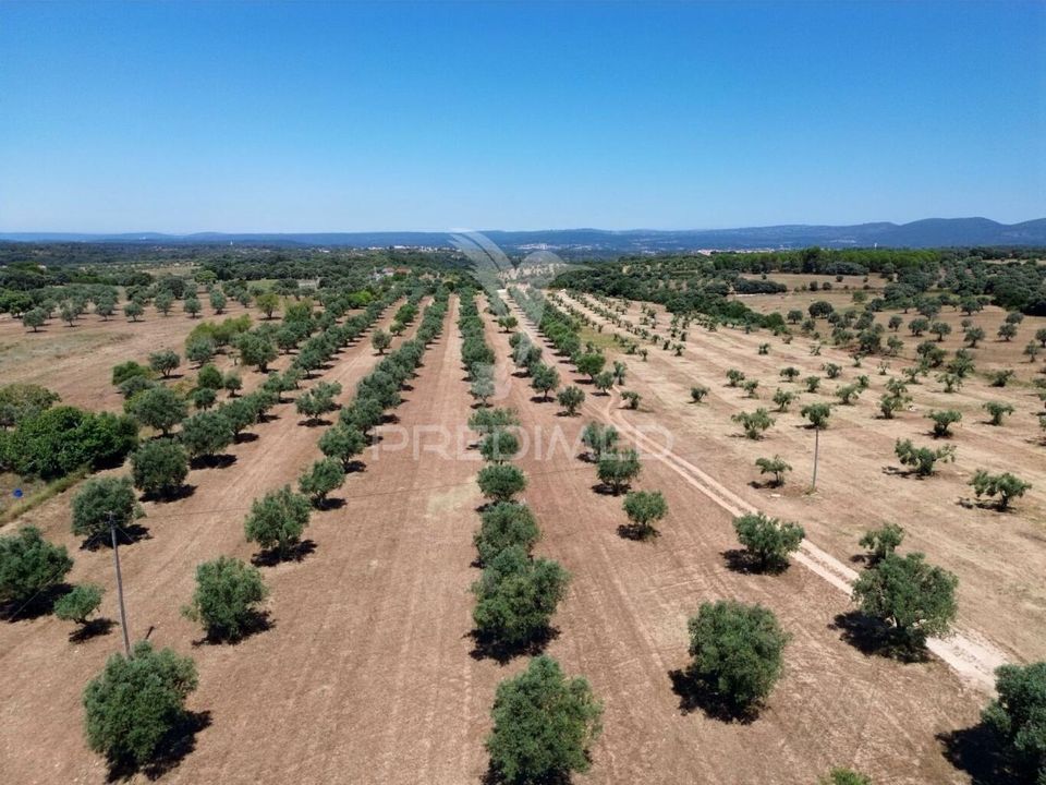 Masia a Santarem, Santarem - foto 1
