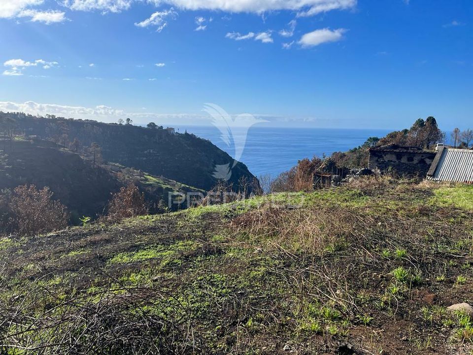 Masia a Calheta, Madeira - foto 3