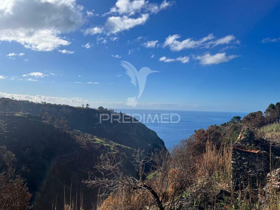 Masia a Calheta, Madeira - foto 4