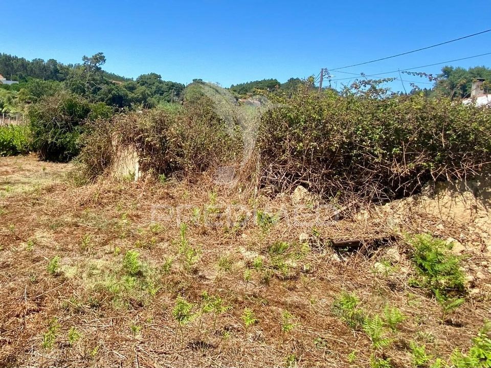 Ruinere i Rio Maior, Santarem - foto 2