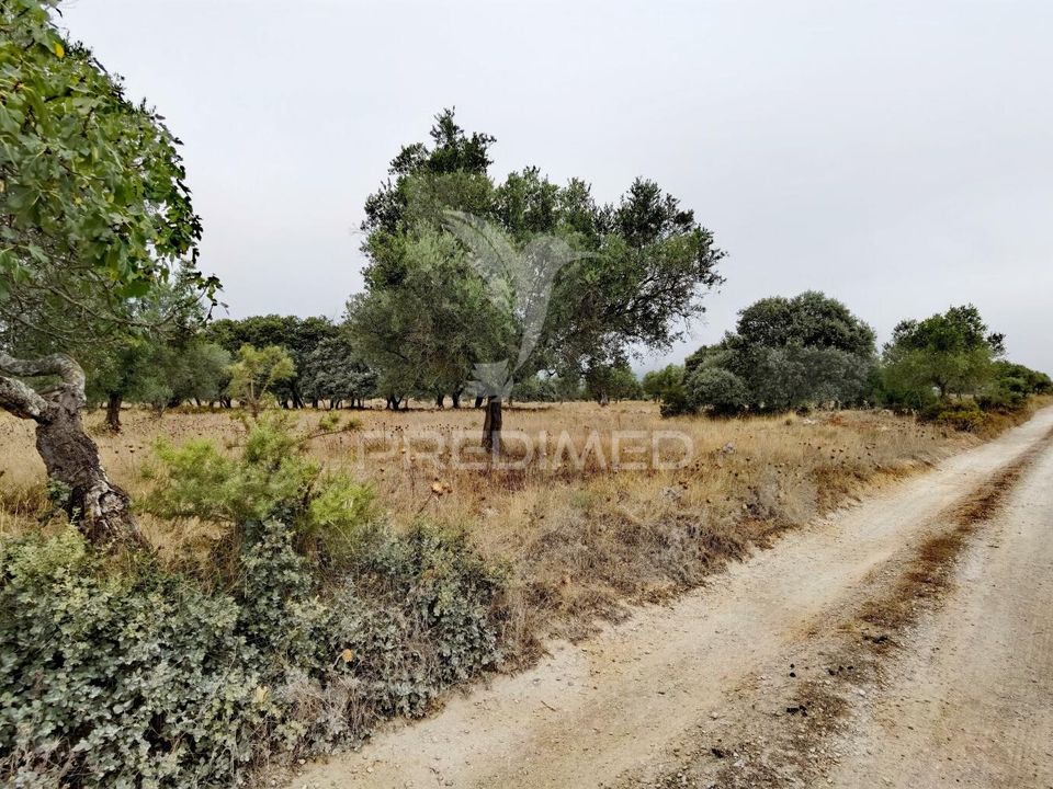 Helårsgrund i Alcanena, Santarem - foto 1