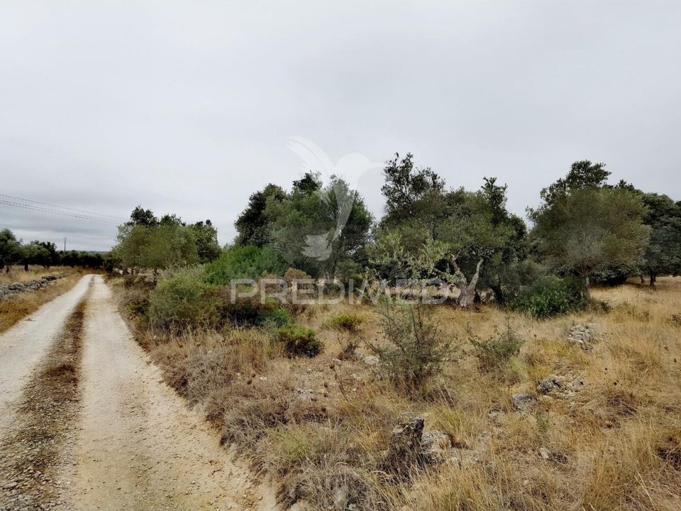 Helårsgrund i Alcanena, Santarem - foto 3