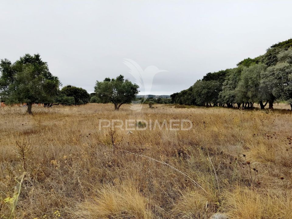 Helårsgrund i Alcanena, Santarem - foto 4
