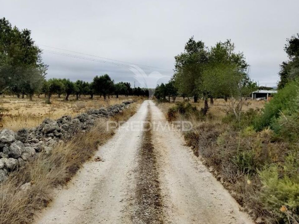 Helårsgrund i Alcanena, Santarem - foto 5