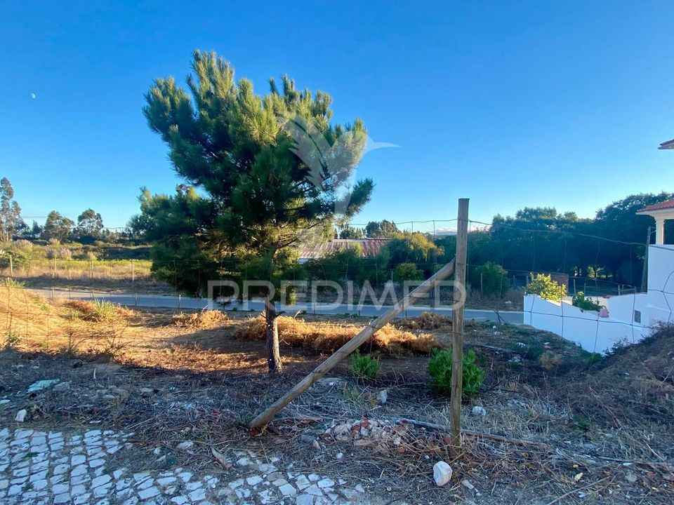 Helårsgrund i Rio Maior, Santarem - foto 1