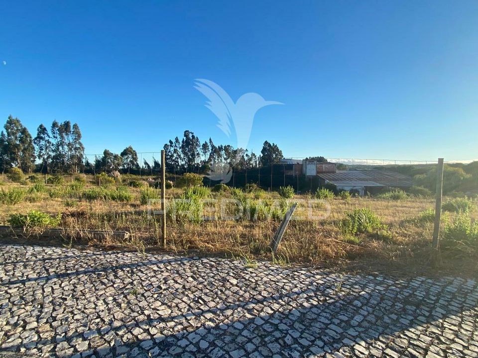 Helårsgrund i Rio Maior, Santarem - foto 2