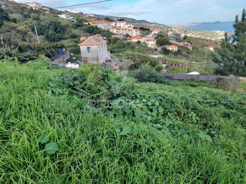 Helårsgrund i Santa Cruz, Madeira - foto 2
