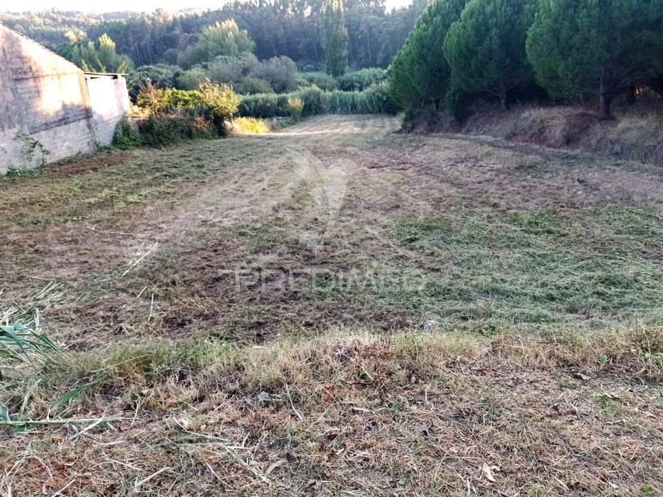 Helårsgrund i Rio Maior, Santarem - foto 3