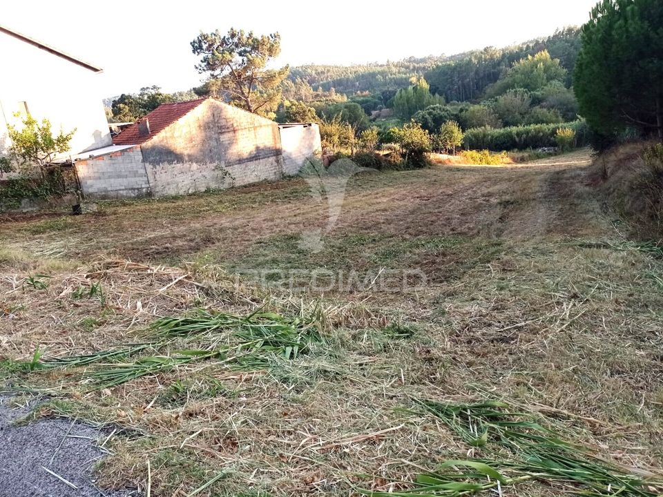 Helårsgrund i Rio Maior, Santarem - foto 4