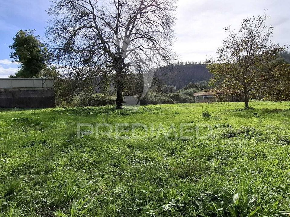Helårsgrund i Ourem, Santarem - foto 1