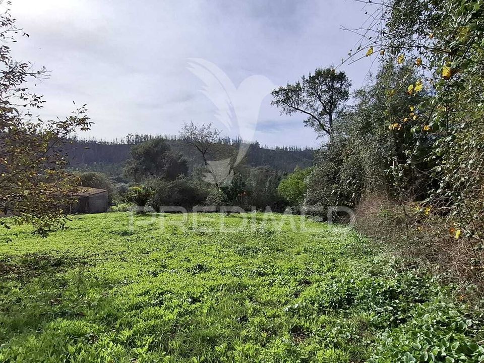 Helårsgrund i Ourem, Santarem - foto 3