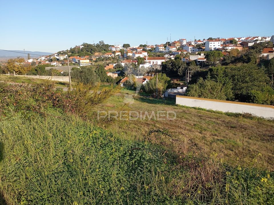 Tomt i Chamusca, Santarem - bilde 4