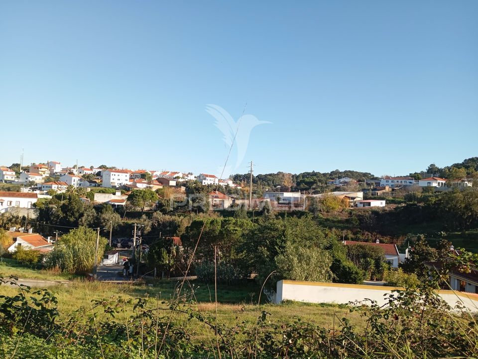 Tomt i Chamusca, Santarem - bilde 5