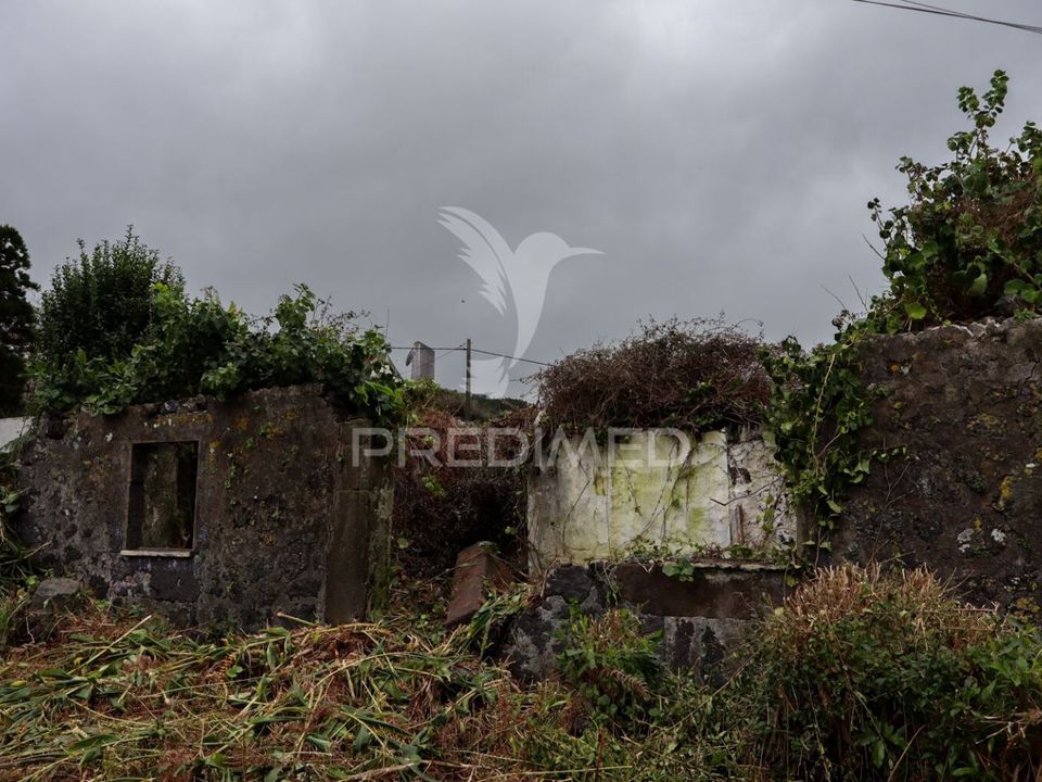 Ruinere i Velas, Sao Jorge - foto 3