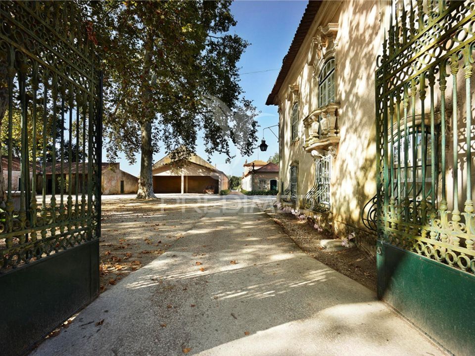 Boerderij in Anadia, Aveiro - foto 3