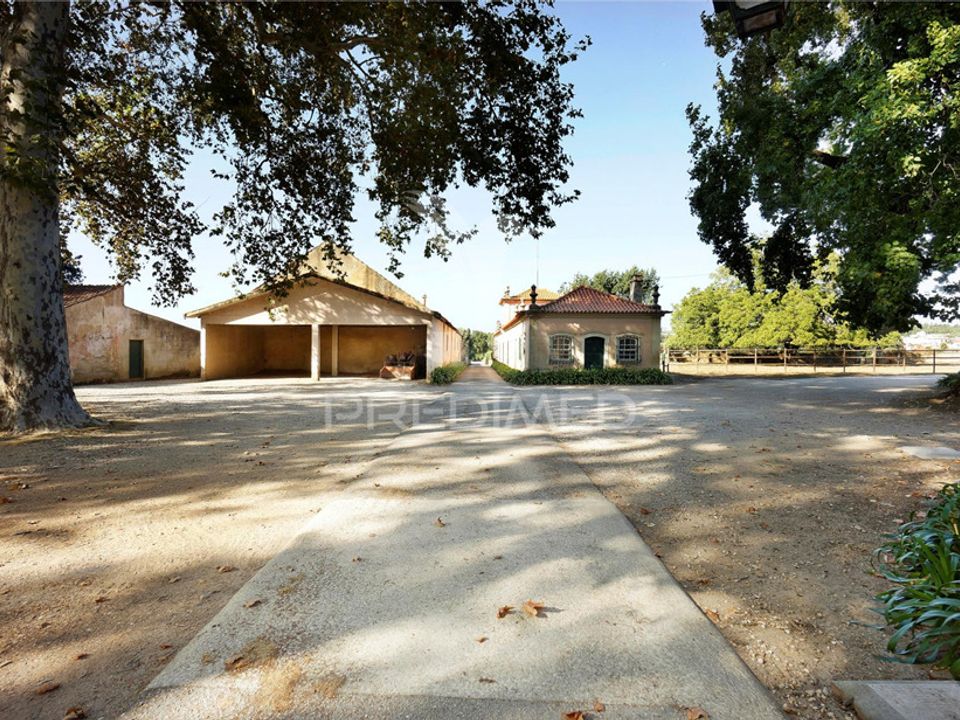 Boerderij in Anadia, Aveiro - foto 4