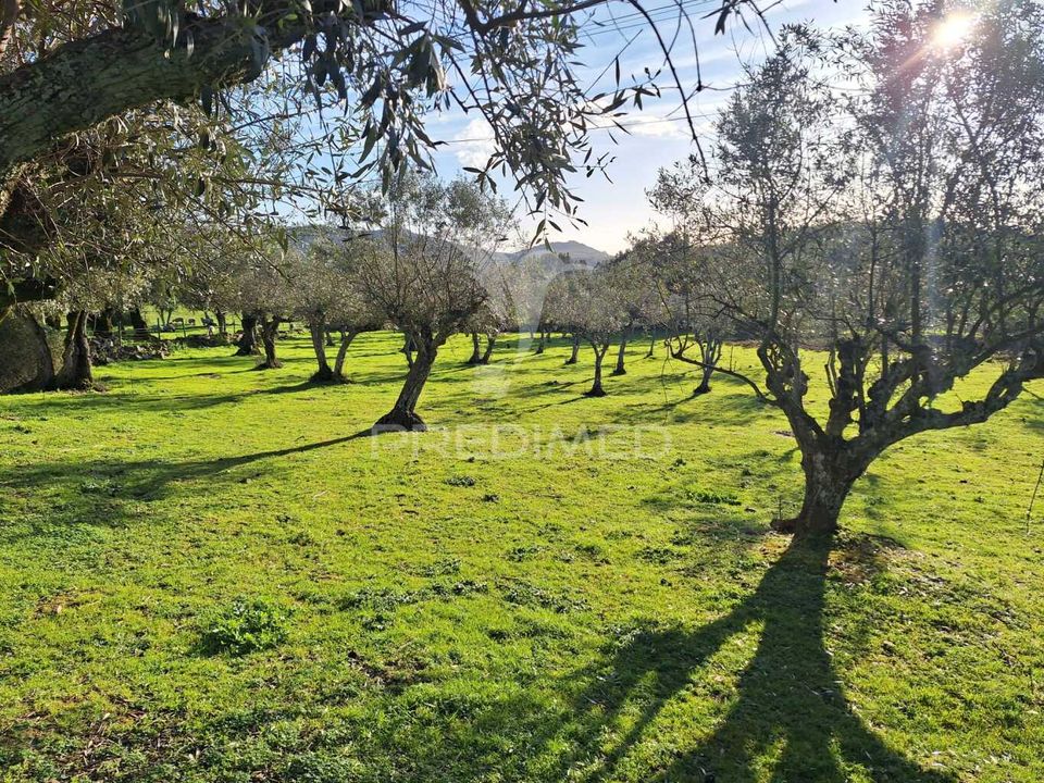 Farm hus i Portalegre, Portalegre - foto 2
