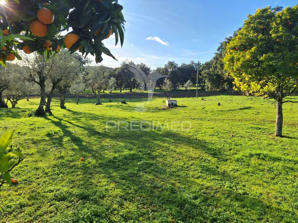 Farm hus i Portalegre, Portalegre - foto 1