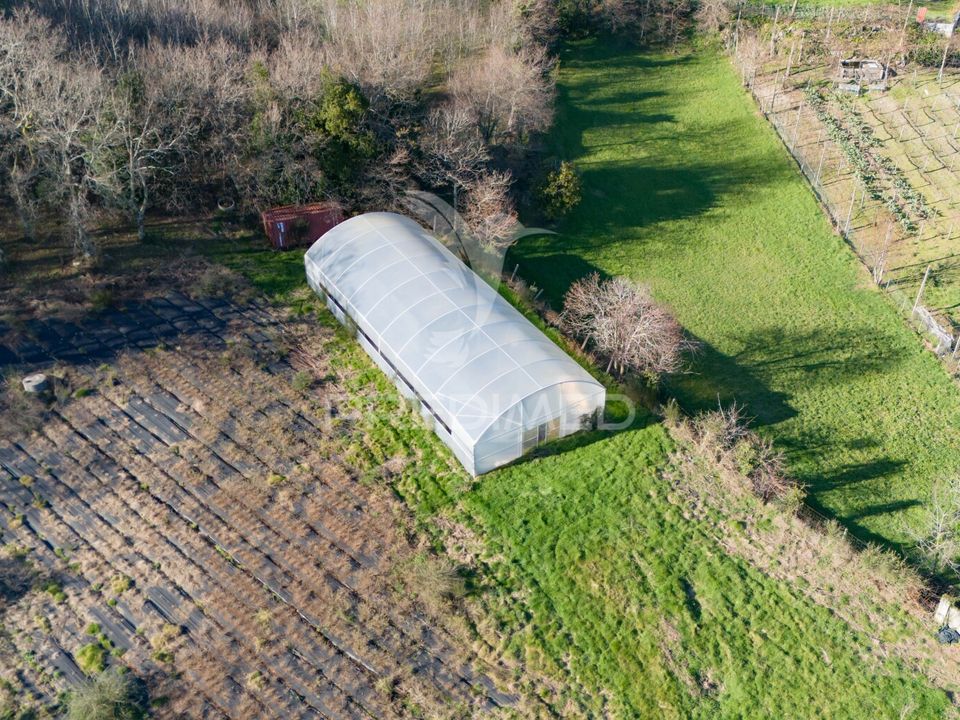 Farm hus i Povoa de Lanhoso, Braga - foto 1