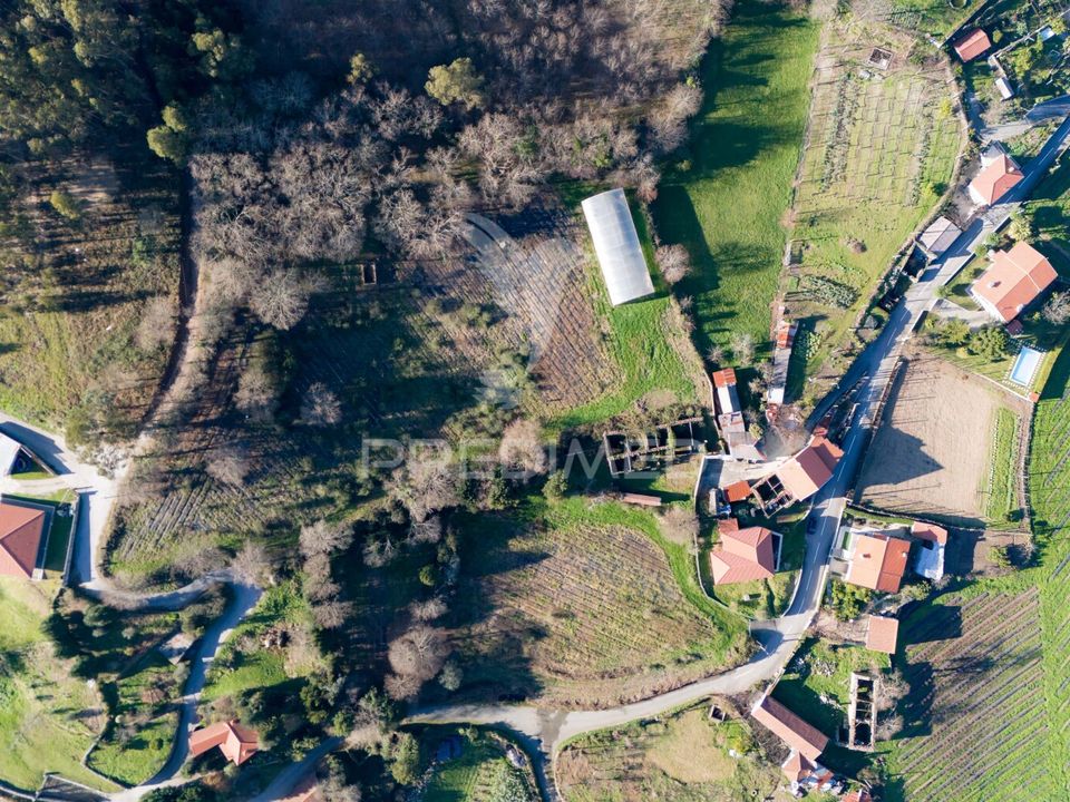Farm hus i Povoa de Lanhoso, Braga - foto 2