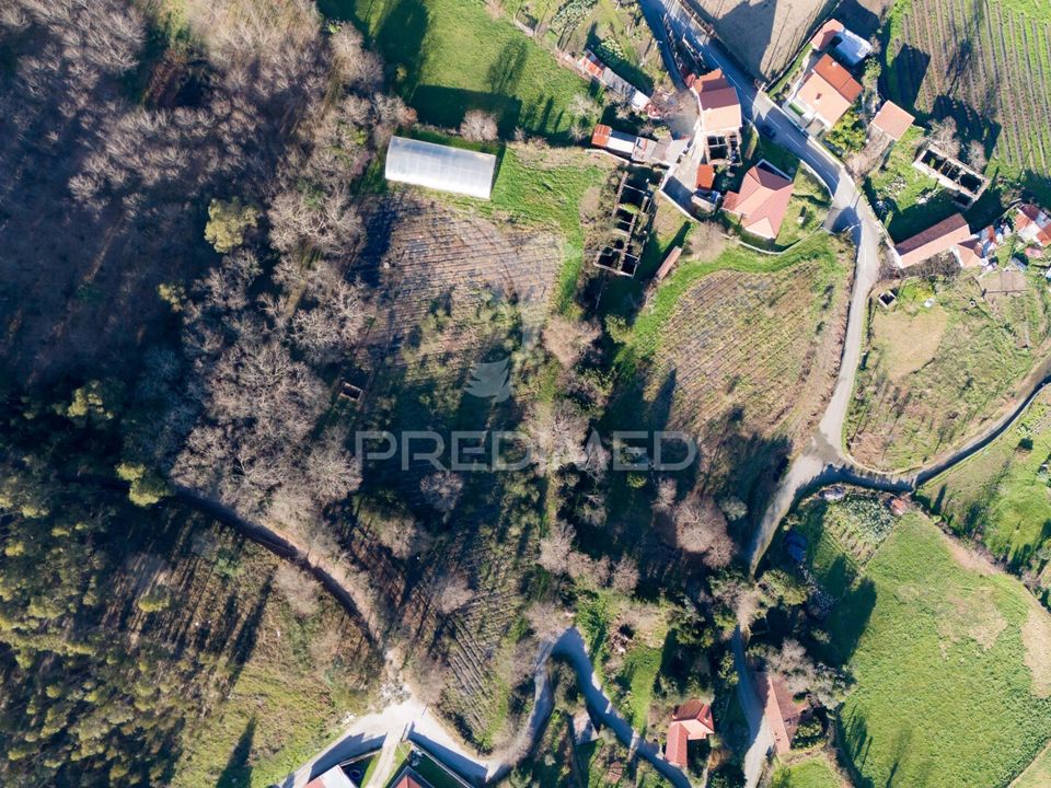 Farm hus i Povoa de Lanhoso, Braga - foto 3