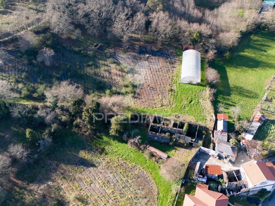 Farm hus i Povoa de Lanhoso, Braga - foto 4