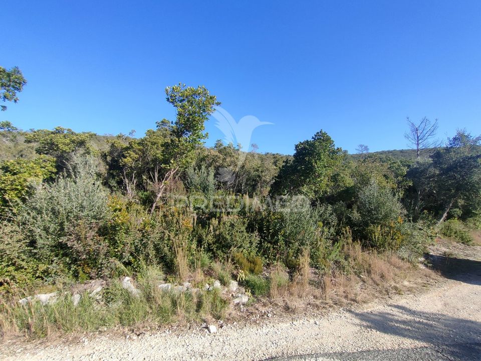 Helårsgrund i Alcanena, Santarem - foto 3