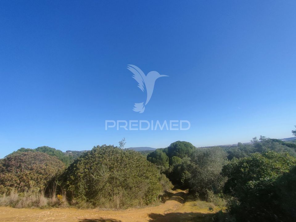 Helårsgrund i Alcanena, Santarem - foto 1