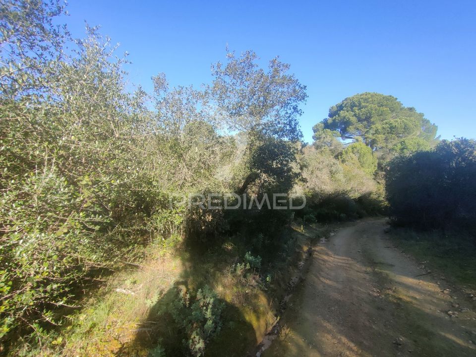 Helårsgrund i Alcanena, Santarem - foto 5