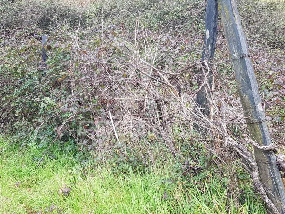 Helårsgrund i Peso da Regua, Vila Real - foto 2
