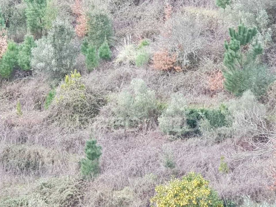 Helårsgrund i Peso da Regua, Vila Real - foto 3
