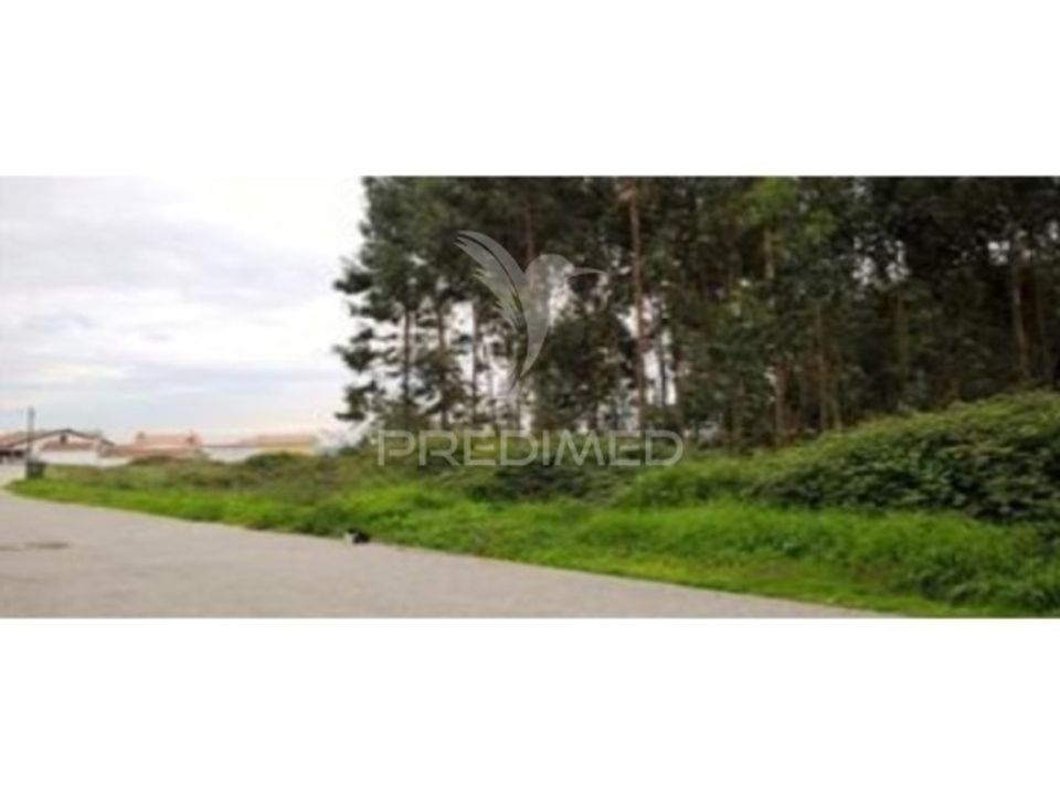 Helårsgrund i Albergaria-a-Velha, Aveiro - foto 1