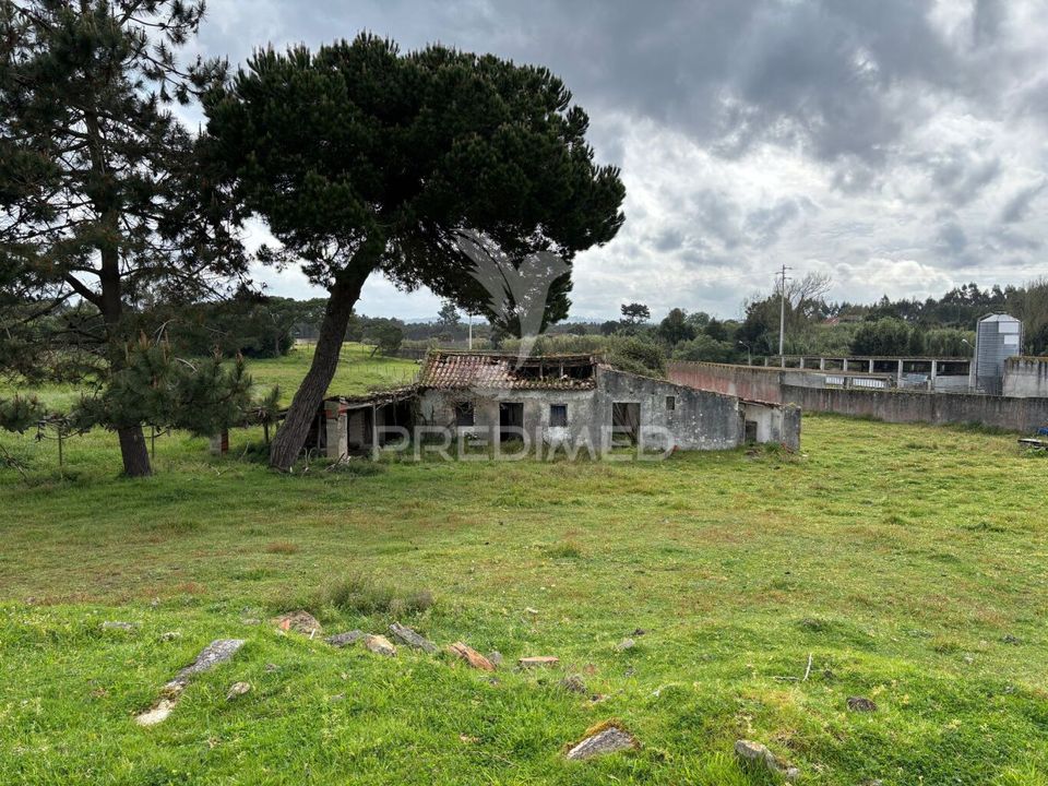 Helårsgrund i Caldas da Rainha, Leiria - foto 4