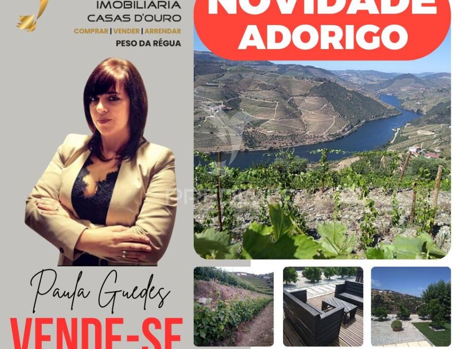 Farm hus i Tabuaco, Viseu - foto 1