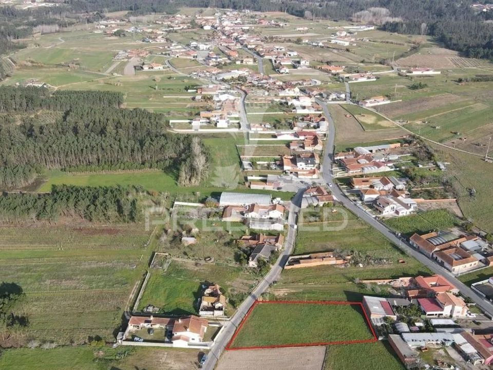 Helårsgrund i Vagos, Aveiro - foto 4