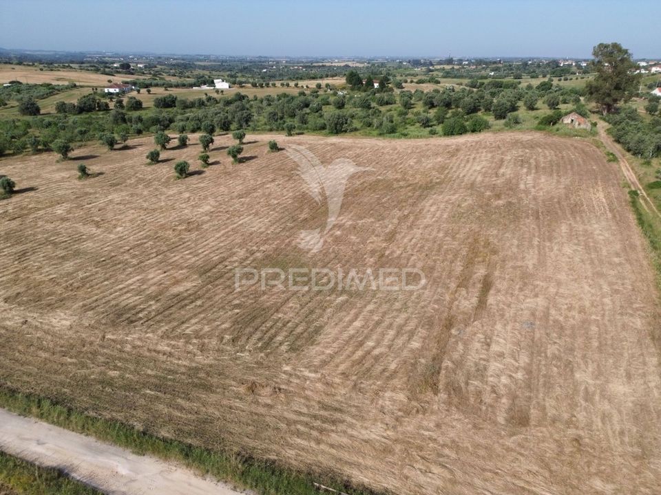 Helårsgrund i Torres Novas, Santarem - foto 1