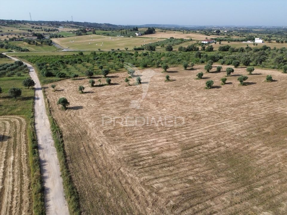 Helårsgrund i Torres Novas, Santarem - foto 2