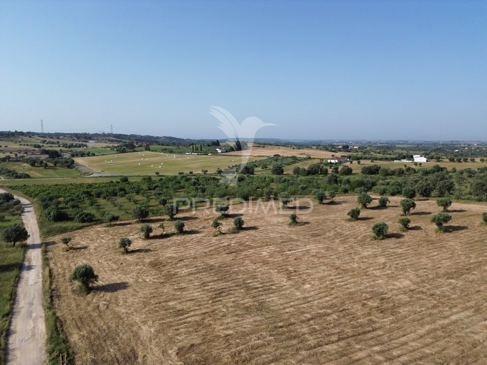 Helårsgrund i Torres Novas, Santarem - foto 3