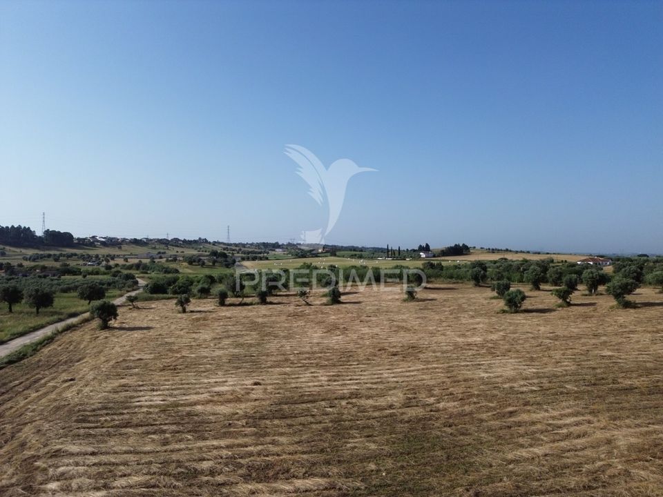 Helårsgrund i Torres Novas, Santarem - foto 4