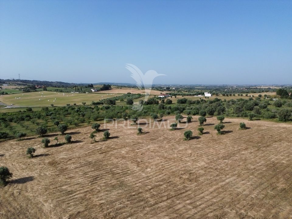 Helårsgrund i Torres Novas, Santarem - foto 5