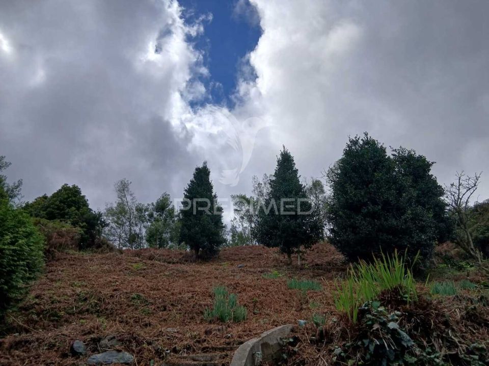 Helårsgrund i Machico, Madeira - foto 4